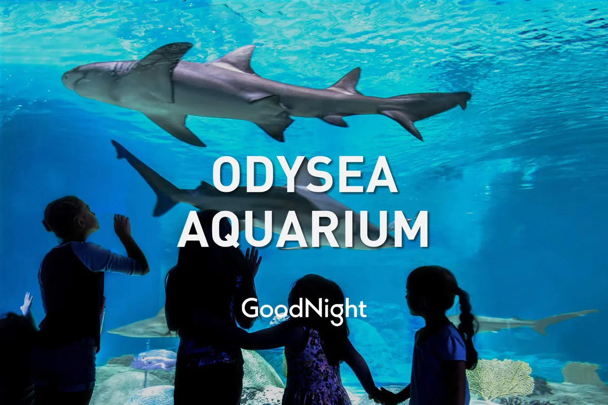 Inside OdySea Aquarium, children watch sharks and marine life through massive aquarium glass, capturing a sense of wonder and family bonding during an educational outing.